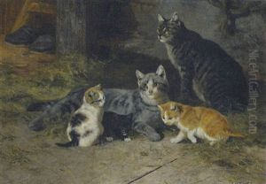 Cats And Kittens by Josef Schmitzberger