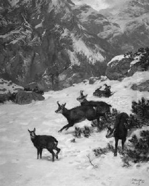 Gemsenjagd In Winterlicher Gebirgslandschaft - view 1