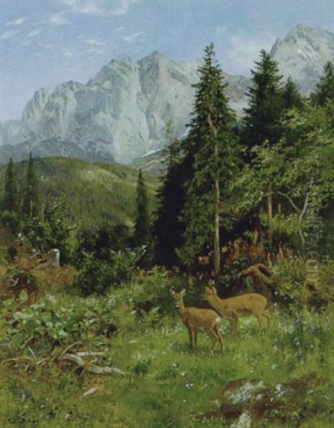 Rehwild Am Waldesrand - view 1