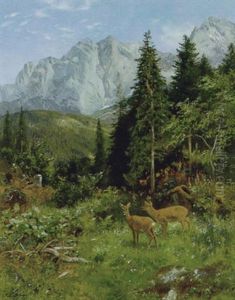Rehwild Am Waldesrand Rehwild Am Waldesrand
