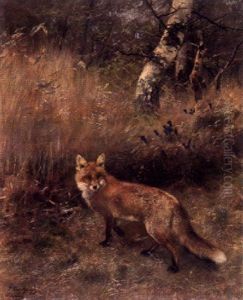 Fuchs Am Waldrand Fuchs Am Waldrand