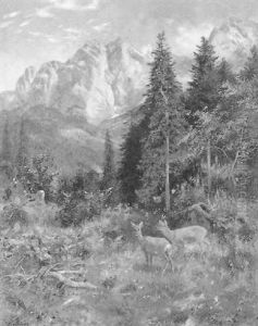 Rehwild Am Waldesrand (mit Blick Auf Den Wilden Kaiser In Tirol) by Josef Schmitzberger