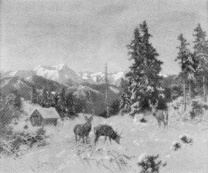 Hirsche Im Verschneiten Wald by Josef Schmitzberger