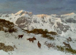 Chamois In A Mountainous Winter Landscape by Josef Schmitzberger