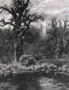 Mystische Winterlandschaft Mit Verschneiten Baumen by Josef Schmitzberger