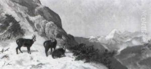 Gemsen Im Verschneiten Hochgebirge by Josef Schmitzberger