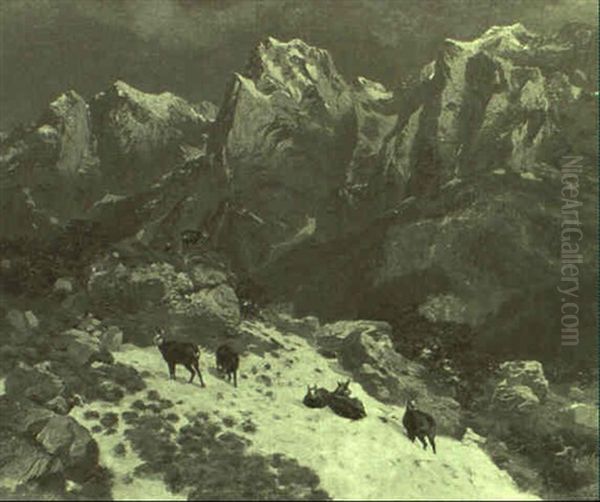 Gemsen In Winterlicher Hochgebirgslandschaft - view 1