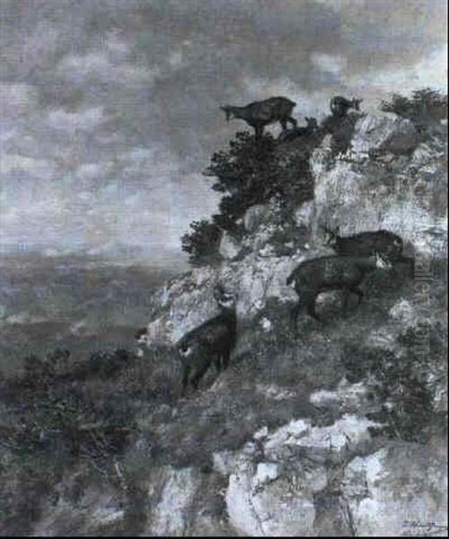 Sechs Gensen Am Felshang - view 1