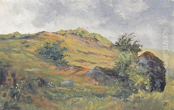 Anhohe Mit Felsblock - view 1
