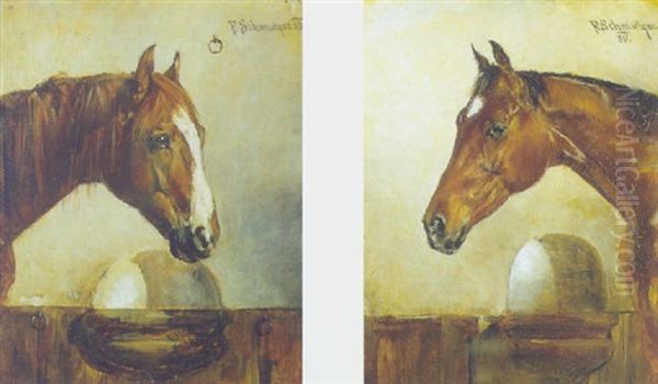 Pferdeportrait - view 1