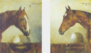 Pferdeportrait
