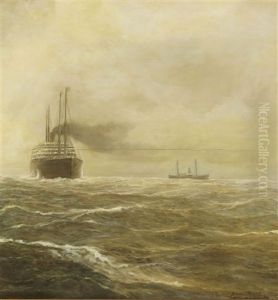 Passagierdampfer Der Hapag Vor Nantucket Shoals Passagierdampfer Der Hapag Vor Nantucket Shoals