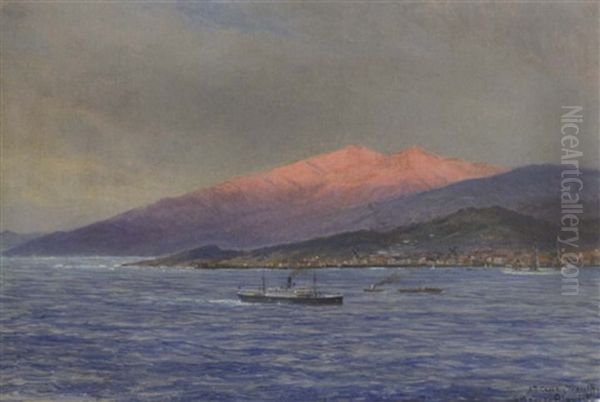 Dampfer Und Andere Schiffe Vor Sta. Cruz, Teneriffa - view 1