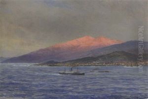 Dampfer Und Andere Schiffe Vor Sta. Cruz, Teneriffa by Carl Wilhelm Hugo Schnars-Alquist
