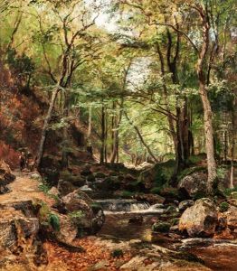 Waldweg Mit Bachlauf Waldweg Mit Bachlauf