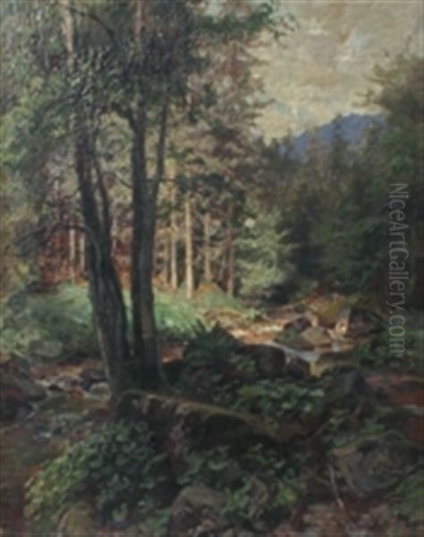 Waldinneres Mit Bachlauf - view 1