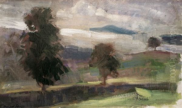 Landscape - view 1