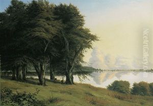 Sommerliche Seenlandschaft