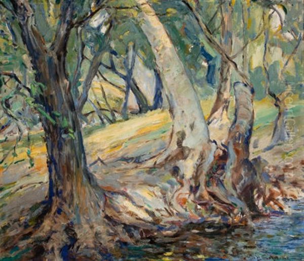 Forest Landscape - view 1
