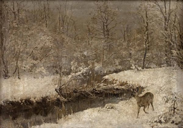 Reh In Winterlandschaft - view 1