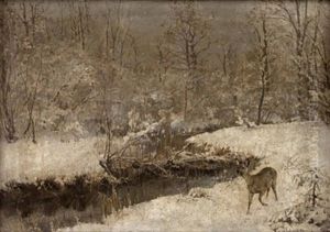 Reh In Winterlandschaft Reh In Winterlandschaft