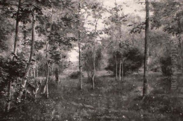 Reh Im Fruhlingswald - view 1