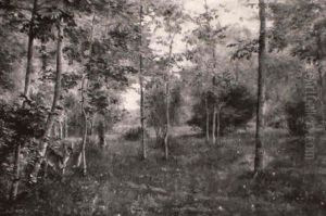 Reh Im Fruhlingswald