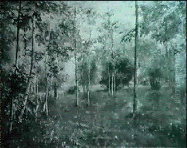 Reh Im Fruhlingswald - view 1