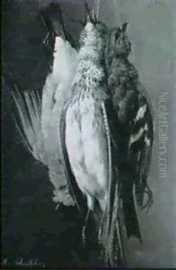 Drei Erlegte Vogel, An Schnuren Hangend Drei Erlegte Vogel, An Schnuren Hangend