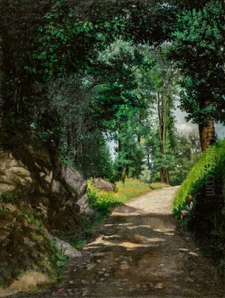 Luzern - Hohlweg Bei Moosmatt - view 1