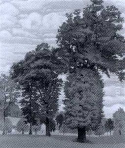 Landschaft Bei Schonbuhl by Karl Friedrich Schobinger
