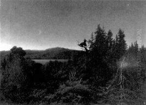 Waldlandschaft Mit Krahendem Auerhahn Bei Dammerung by Alfred Schoeck