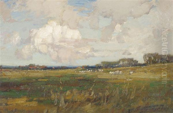 Sheep Grazing In A Sunlit Meadow, Possible The Vale Of York - view 1