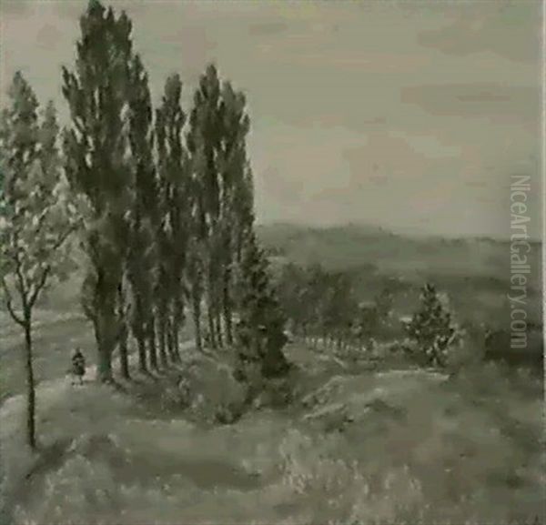Papp[eln In Der Schawalm (bei Neukirchen) - view 1