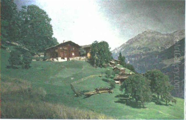 High Summer In Montafoy - view 1