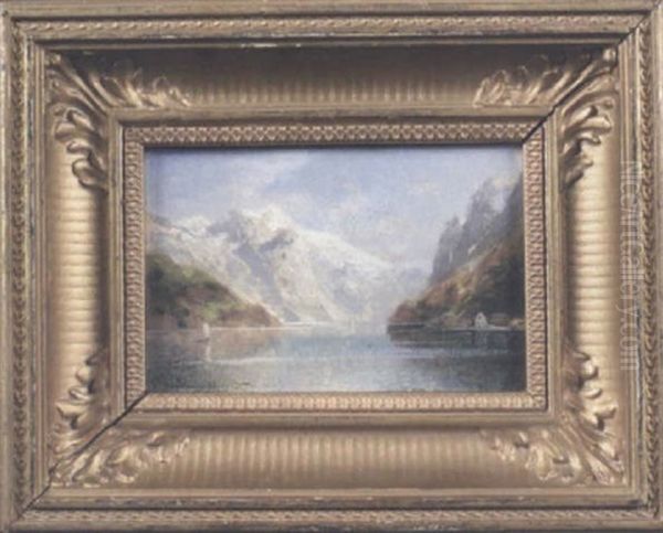 Gebirgssee - view 1