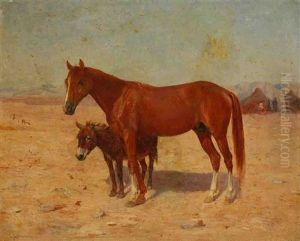 Cheval Et Ane Pres Du Campement