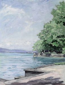 Blick Vom Lindenhofpark Auf Den Bodensee Mit Schweizer Ufer