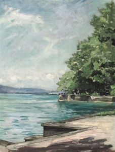 Blick Vom Lindenhofpark Auf Den Bodensee Mit Schweizer Ufer. Vorbeiziehender Raddampfer