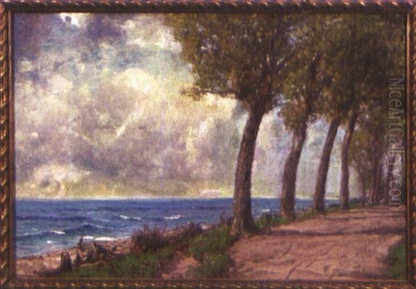 Strase Von Chieming-seehaeusl - view 1