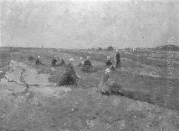 Netzflickerinnen An Der Kuste Von Scheveningen - view 1