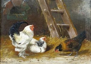 Huhner Im Stall by Alfred Schoenian