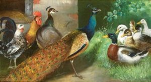 Pfau Im Huhnerhof Mit Enten, Hahn Und Henne by Alfred Schoenian
