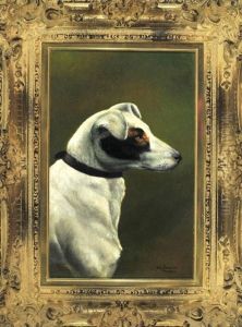 Portrait Eines Parson Jack Russell Terriers by Alfred Schoenian