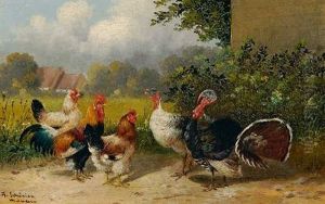 Huhner Und Puten by Alfred Schoenian
