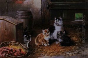 Die Katzen Im Stall