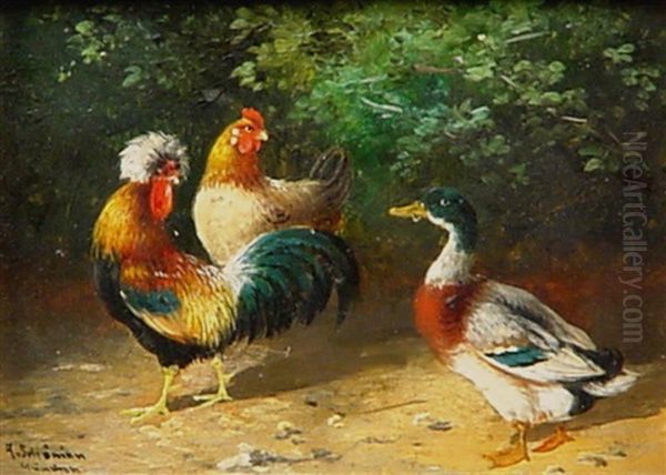 Huhner Und Enten - view 1