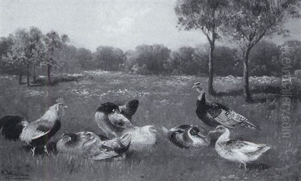 Huhner Und Enten Auf Einer Wiese - view 1