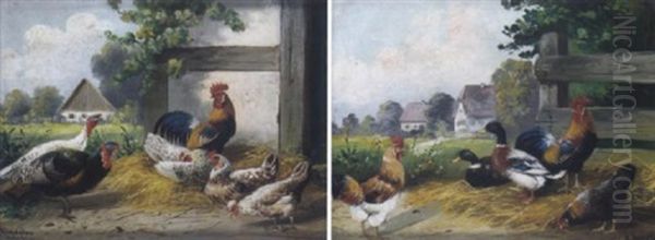 Huhnerhof Mit Enten - view 1