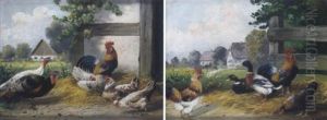 Huhnerhof Mit Enten